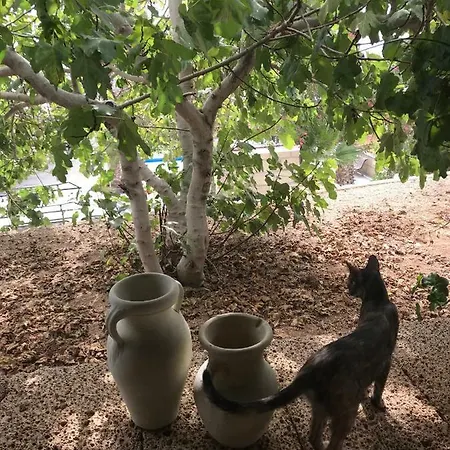 El Cortijo Σαν Μιγκέλ ντε Αμπόνα
